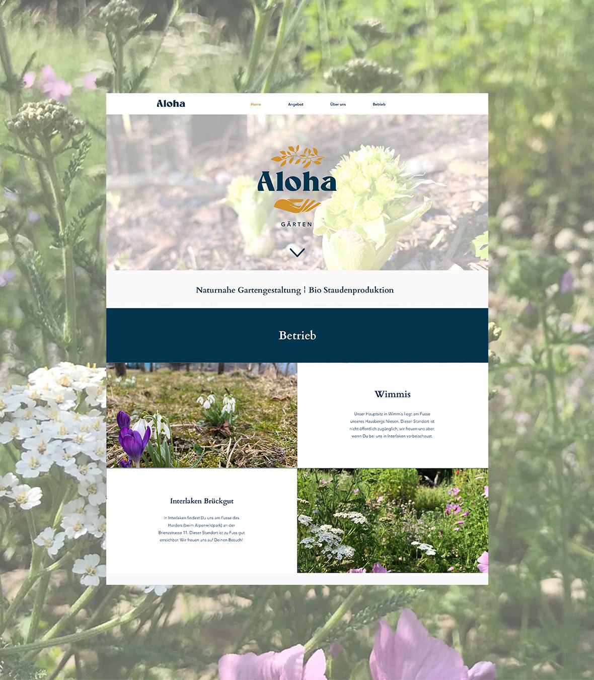 Die Website von Aloha G&auml;rten: Hero, Positionierungssatz und die beiden Standorte
